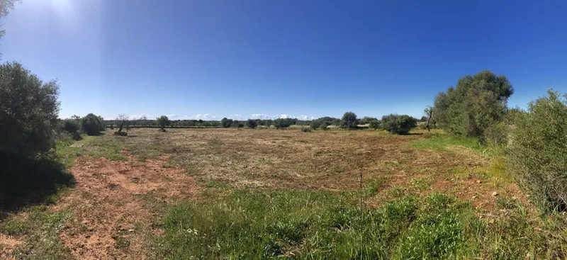 Plot with basic project to build about 370m2 a few minutes from Santanyi — photo 2