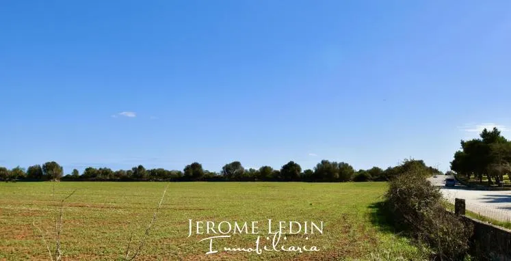 Nice land near Santanyí — photo 2