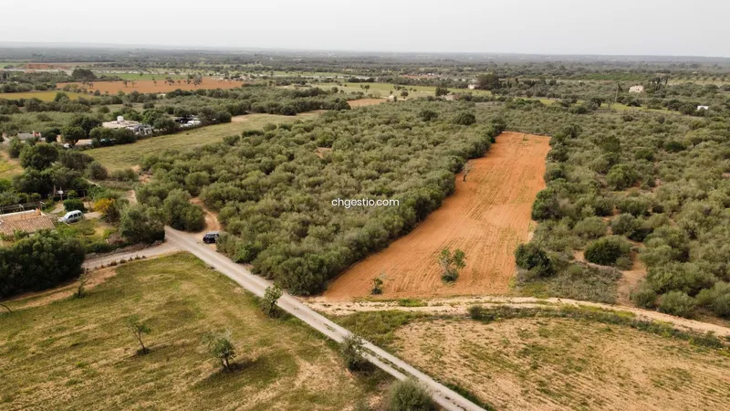 Plot in Campos — photo 10