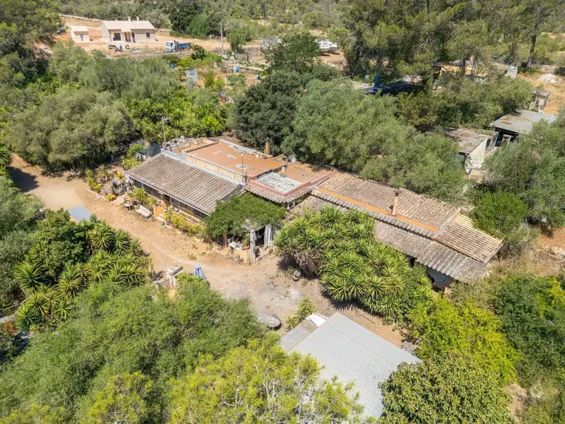 Charming rustic finca in Algaida — photo 3