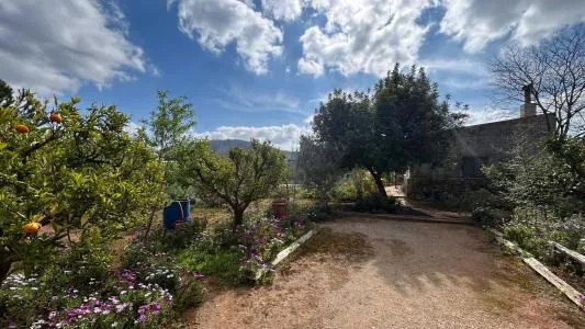 Rustic property - Alaró, Built Surface 61m², Plot Surface 2008m², 1 Bathroom — photo 4