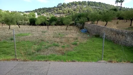 Plot for sale in Calvia — photo 1