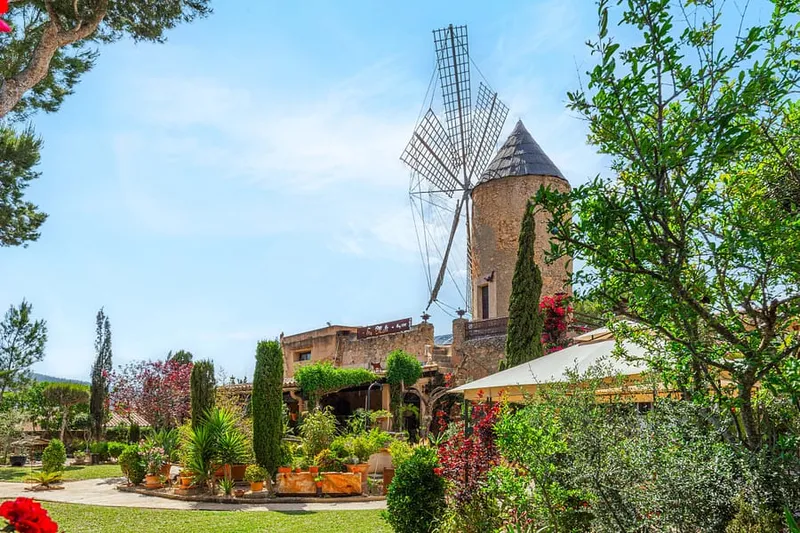 Historical windmill with ETV license and own well — photo 4