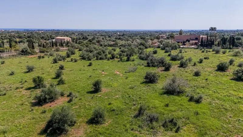 Plot with sea views 10 minutes from Porto Cristo — photo 7