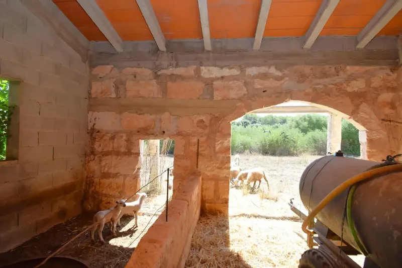 Discover this magnificent rustic estate located in the Son Blay area, just 2.7 km from the town center and with direct access by road — photo 10