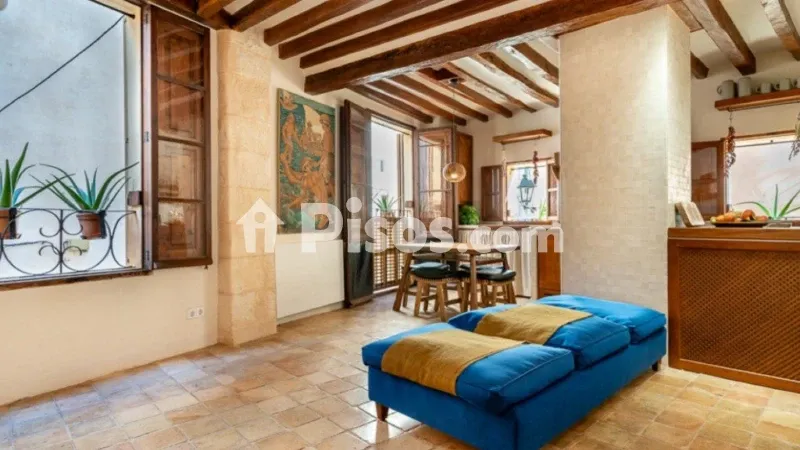 Apartment in La Seu — photo 3
