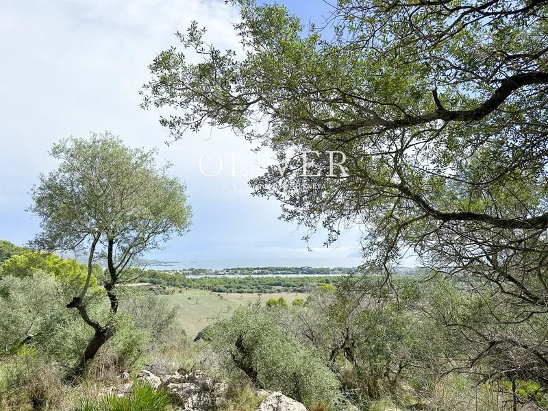 Beautiful finca with sea views in Alcudia — photo 2