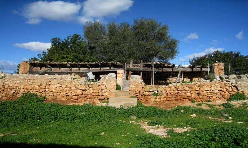 Rustic country property of 1,250,000 m² with buildings in the vicinity of Palma city — photo 6