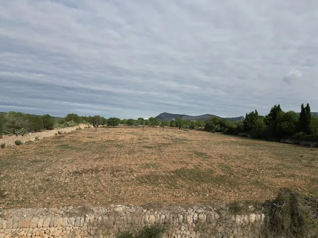 Large building plot with license for sale in Llucmajor, South Mallorca — photo 2