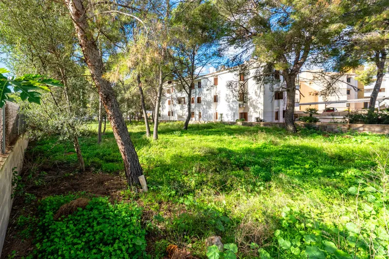 Building plot near the harbour in Santa Ponsa — photo 2