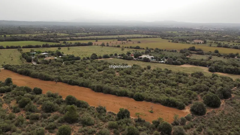 Plot in Campos — photo 7