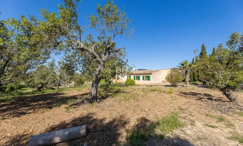 Rustic Finca for sale in Alaró — photo 5