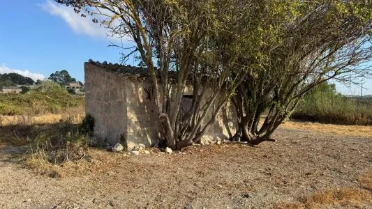 Rustic Land - Maria de la Salut — photo 4