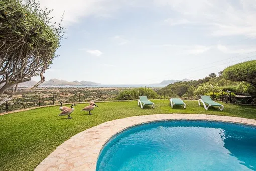 Pollensa, spacious chalet with bright rooms, dream views and 2 pools — photo 2
