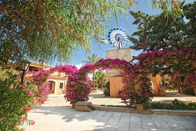 Hotel in ses Salines, Province of Balearic Islands — photo 3