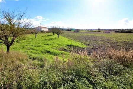 Rural Land - Sineu, Plot Surface 28600 m² — photo 12