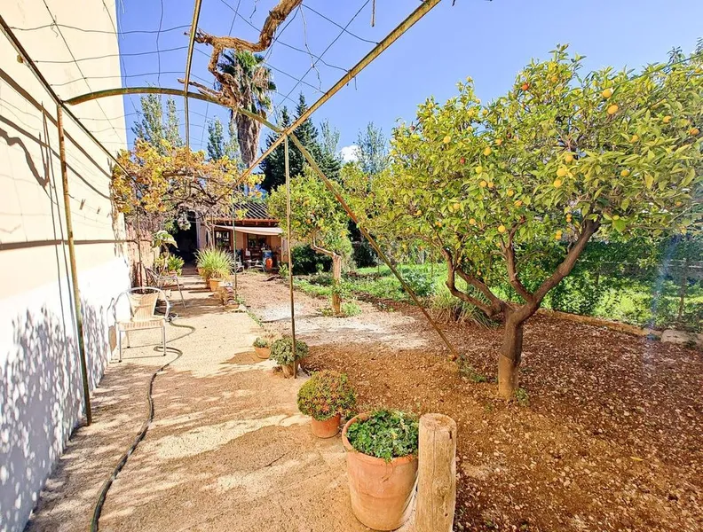 Luxury home in Soller, Province of Balearic Islands — photo 7