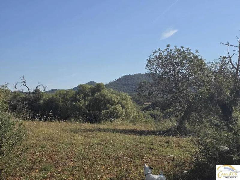 Exclusive Building Plot with Mediterranean Serenity near Sant Llorenç des Cardassar — photo 12