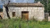 Finca / Rustic property Selva — photo 1