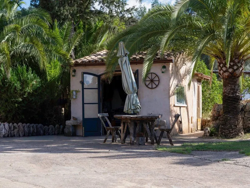 8,000 m² finca with 5 rooms, pool and garage for sale — photo 9