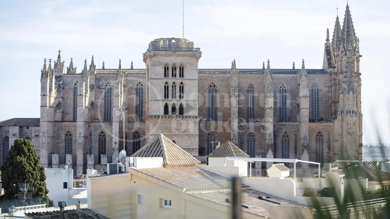 Palace Palau - Historic home in Palma — photo 4