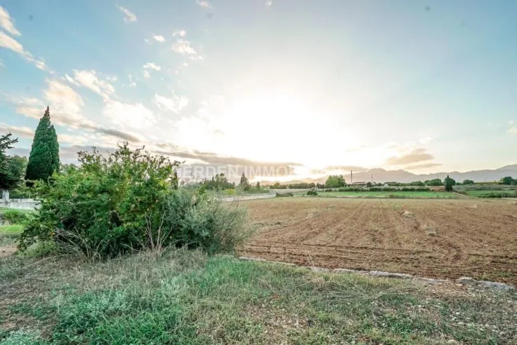 Spacious building plot for sale in Muro, Mallorca — photo 7