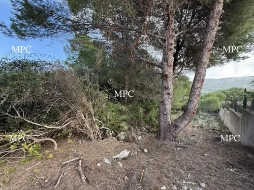 Building Plot in Cala Mesquida — photo 1