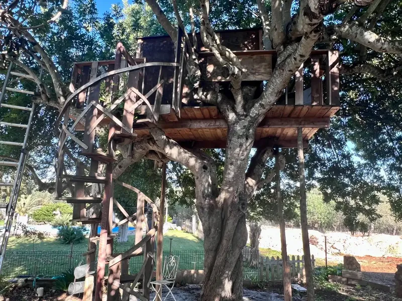 Discover this charming rustic house located in a quiet area of the old road of Muro, where tranquility and nature come together — photo 4