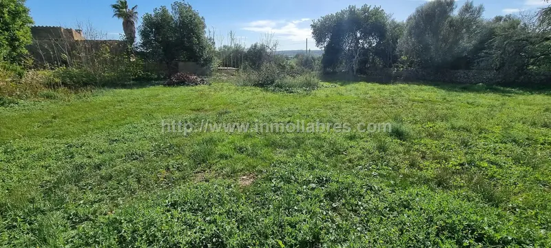 Unique opportunity on the outskirts of the charming municipality of Sencelles, on the beautiful island of Mallorca. This huge rustic estate — photo 7