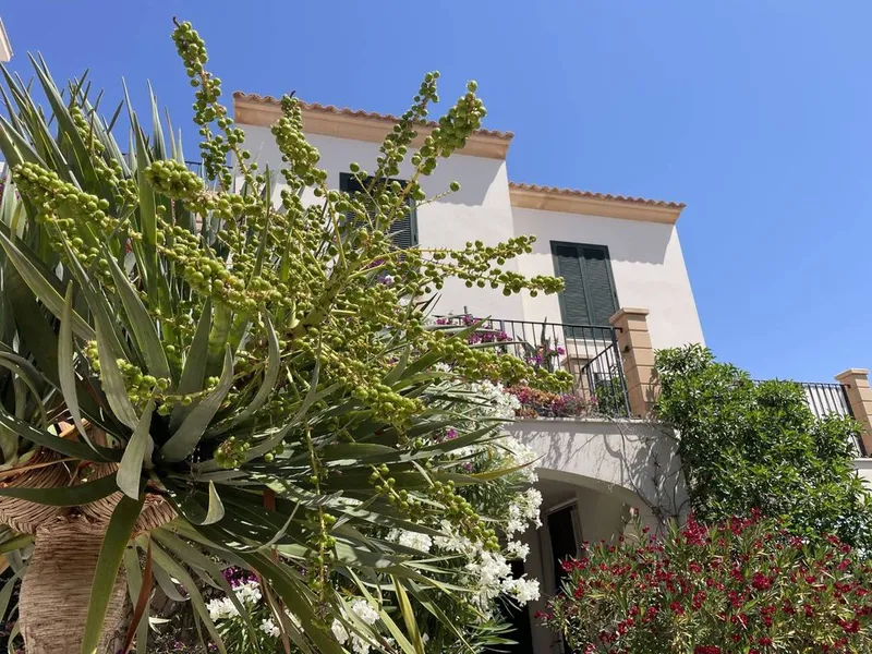 Apartment in Cala Santanyí, Province of Balearic Islands — photo 8