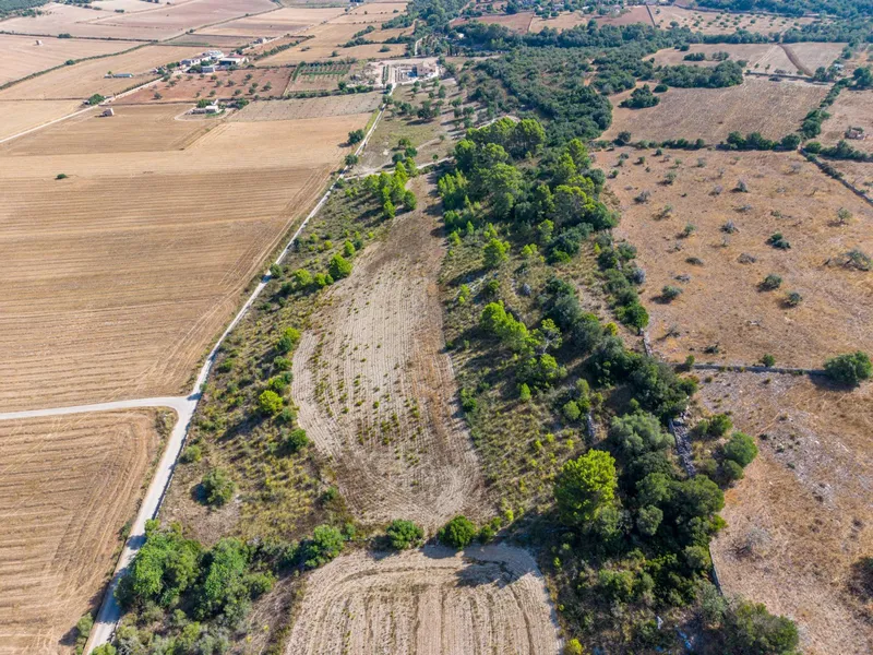 Buildable plot of 29,547 m² with open views in Petra — photo 8