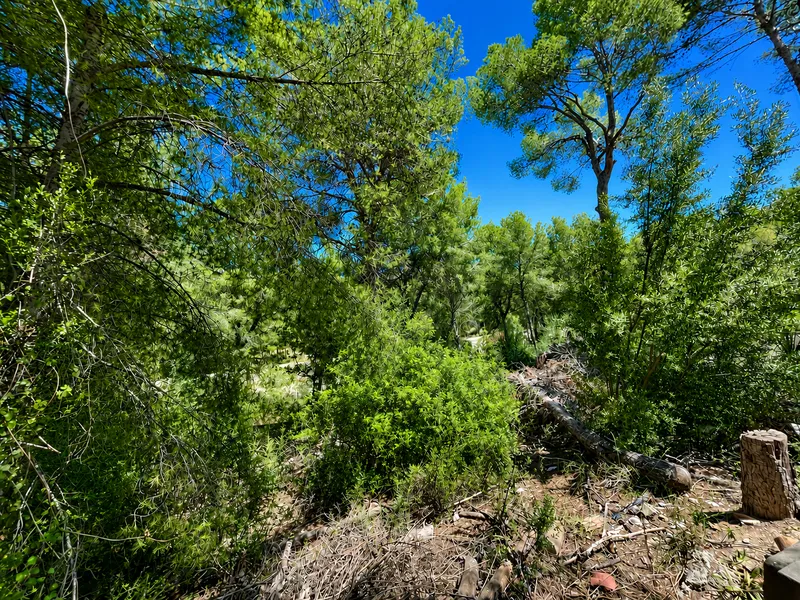 Plot with high investment potential and possibility to build a new villa in Nova Santa Ponsa Mas — photo 3