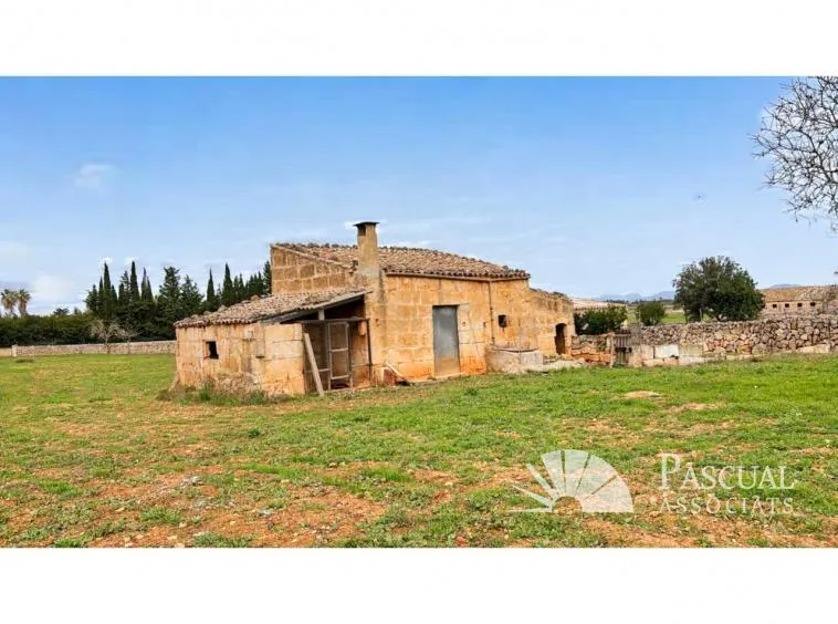 Finca with sea views and approved project in Santa Margalida — photo 3
