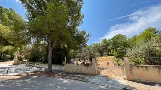 Building Site - Calvià (Santa Ponça) — photo 11