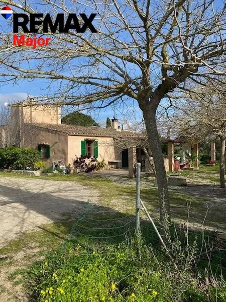 Mediterranean Sanctuary near Sineu – 3.5 Hectares of Pure Nature — photo 4
