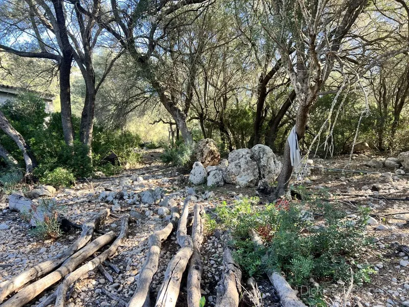 Charming building plot with license and panoramic views in Alcudia — photo 6