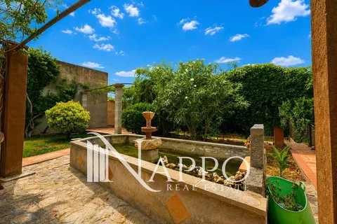Terraced house in Soller, Mallorca — photo 5
