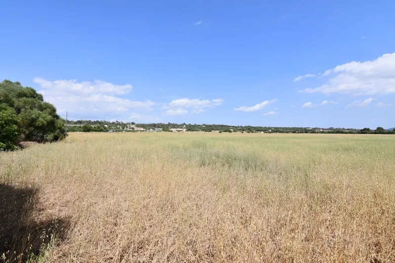 Plot located a few minutes from Campos — photo 1