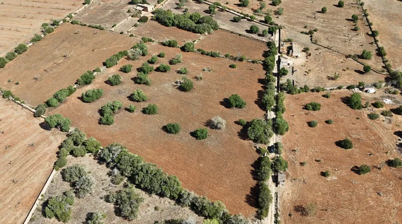 Buildable land — photo 3