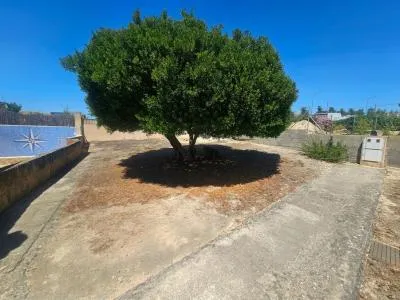 Villa - Palma de Mallorca (Ses Cadenes-Arenal), Built Surface 346 m², Plot Surface 800 m², 6 Bedrooms, 2... — photo 12