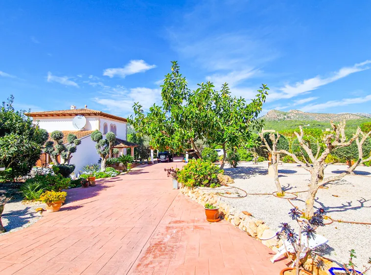 Ref. 2437C – Andratx – Charming villa in a very good location — photo 8