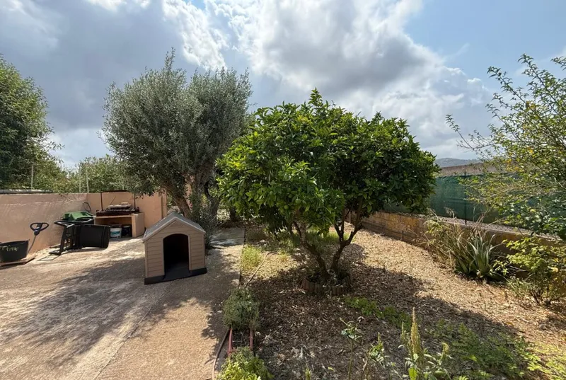 Finca with dwelling, gesa electricity and water in Manacor — photo 2