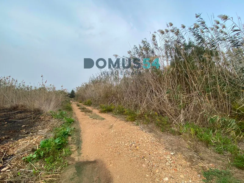 plot in Sa Pobla — photo 2