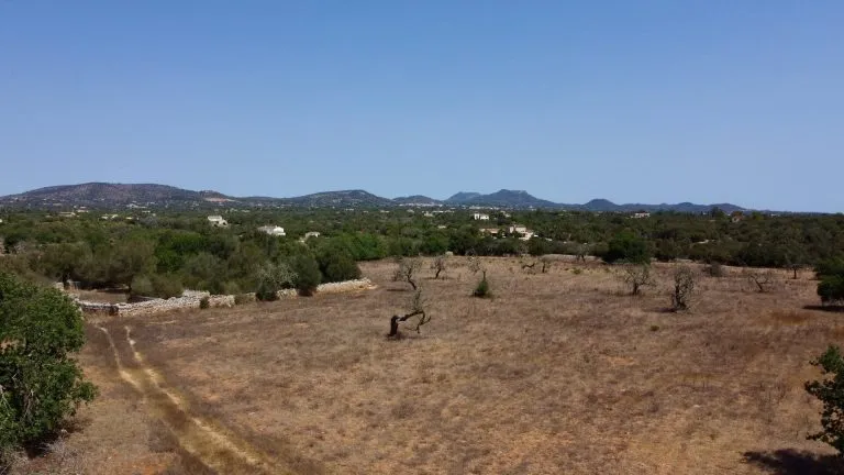 Großzügiges Finca-Anwesen bei Mondragó – Raum für Ihre Vision — photo 1