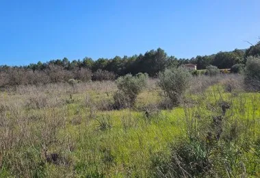 Plot in Santa Maria — photo 11