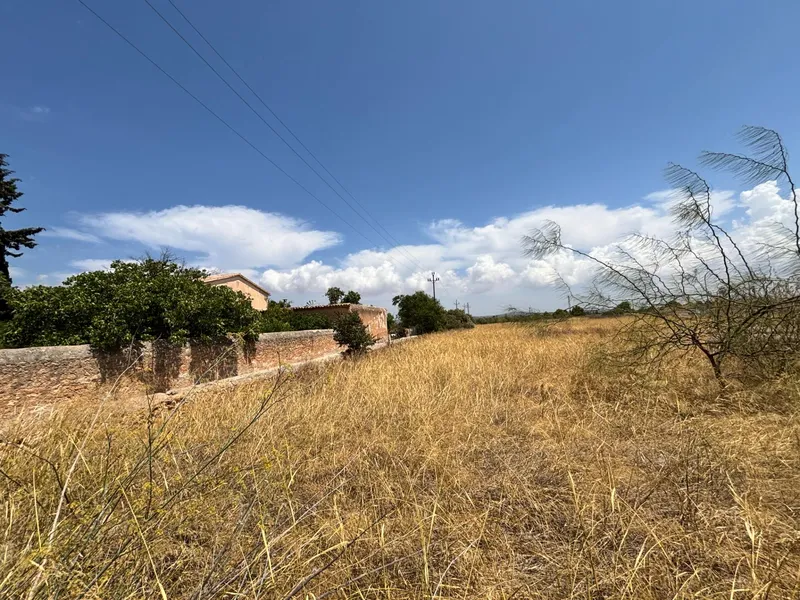 Buildable plot in Pla de na Tesa, Marratxí — photo 5
