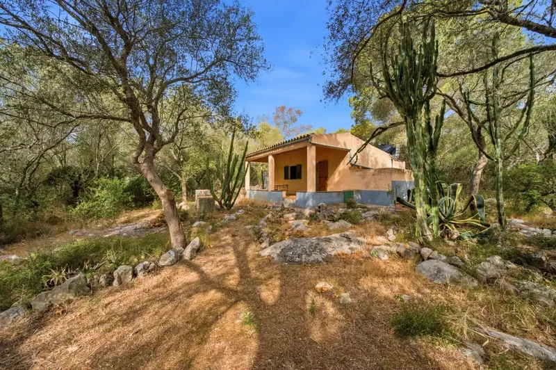 If you are looking for a refuge to enjoy the tranquility of the Mallorcan countryside, surrounded by nature and with excellent connections, this pro — photo 1