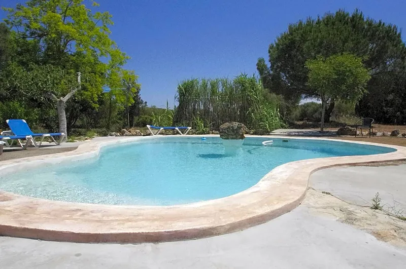 Rustic house with pool + guest house — photo 1