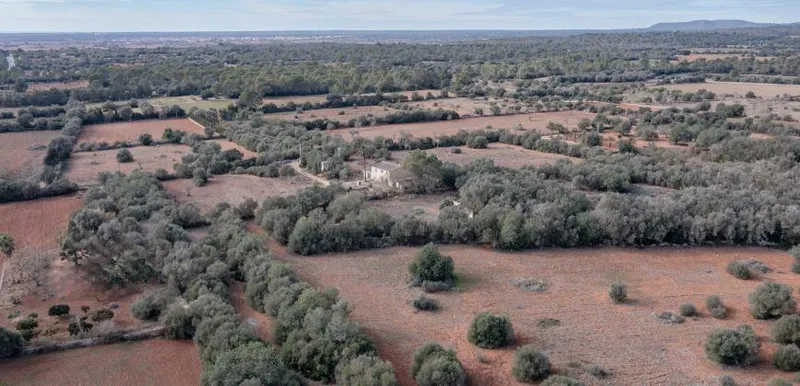 Country house to renovate in Campos with 14,000 m² plot — photo 11
