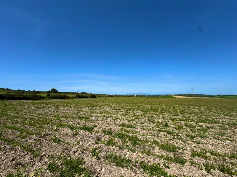 Exclusive Real Estate Opportunity in Petra Dream Plot with Endless Possibilities — photo 9